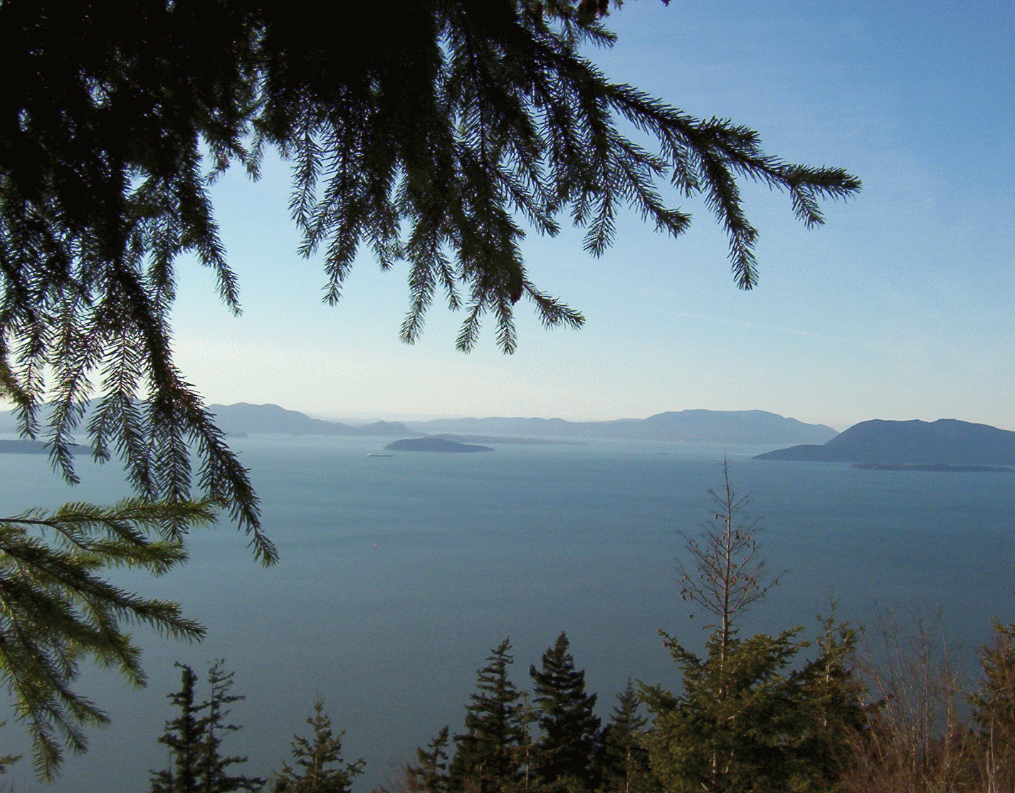View from chuckanut mountain